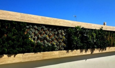 Cortijo de Suerte Alta